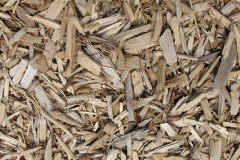 biomass boilers Rhoslan